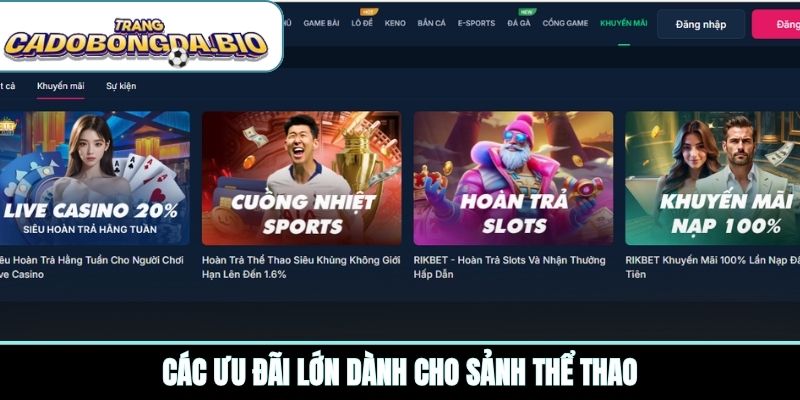 Các ưu đãi lớn dành cho sảnh thể thao
