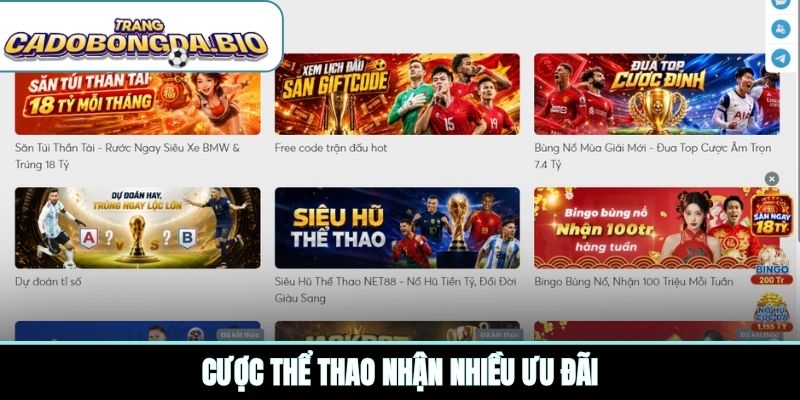 Cược thể thao nhận nhiều ưu đãi