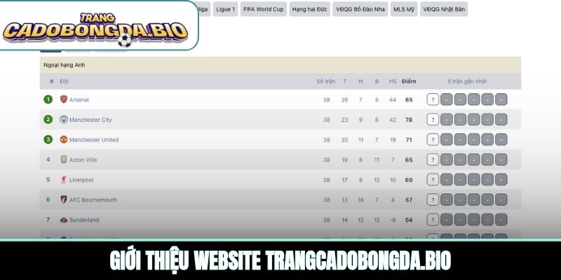 Giới thiệu website etpanorama.com