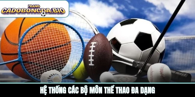 Hệ thống các bộ môn thể thao đa dạng