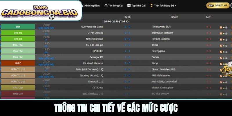 Thông tin chi tiết về các mức cược