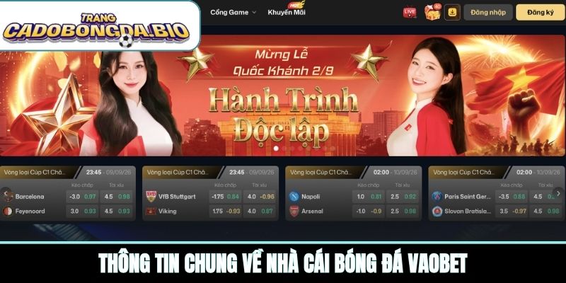Thông tin chung về nhà cái bóng đá VAOBET